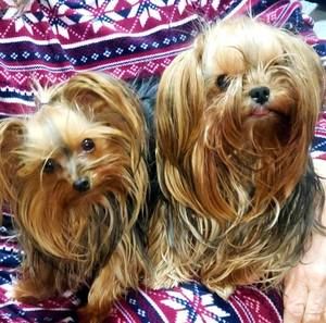 Meet your Posher, Barbara